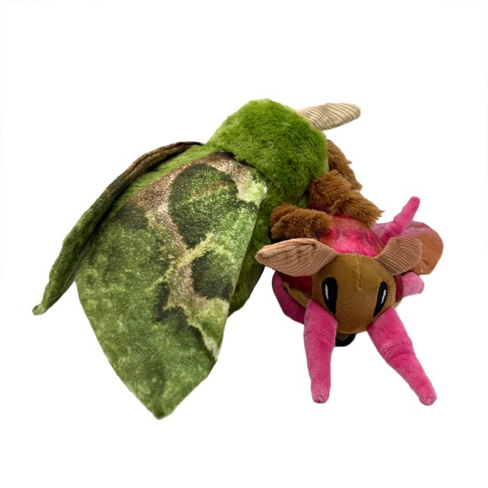 Fluffy Moth Dog Toys – Green and Pink plush moths for dogs, soft eco-friendly recycled stuffing, by Ancol.
