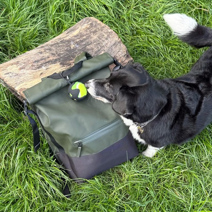 Black Cocopup London ball holder with an Ancol tennis ball attached to a green bag lying on grass