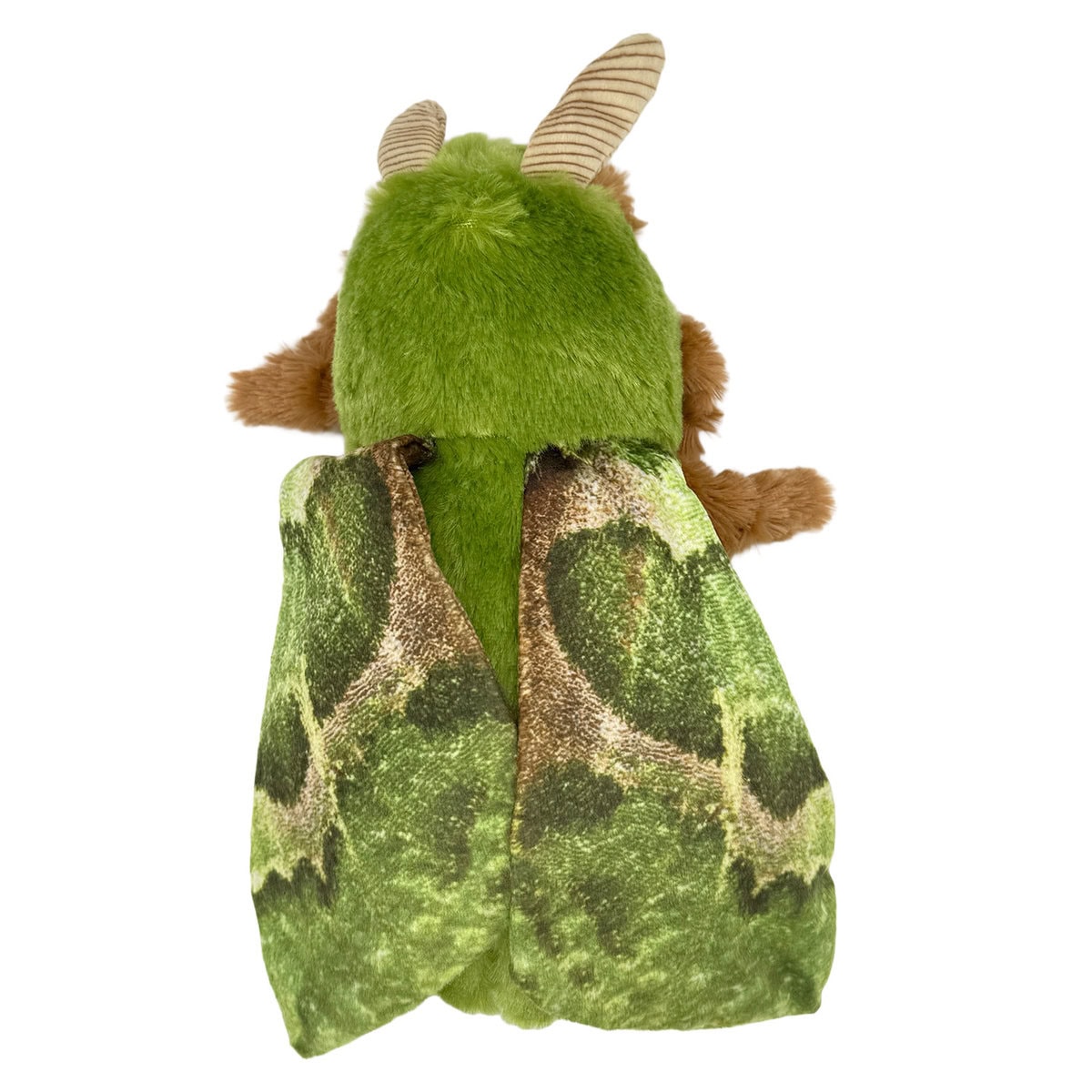 AN-DOG-0008-Green copy Ancol Cuddle Fluffy Moths Green plush dog toy with patterned wings, shown from the back against a white background.