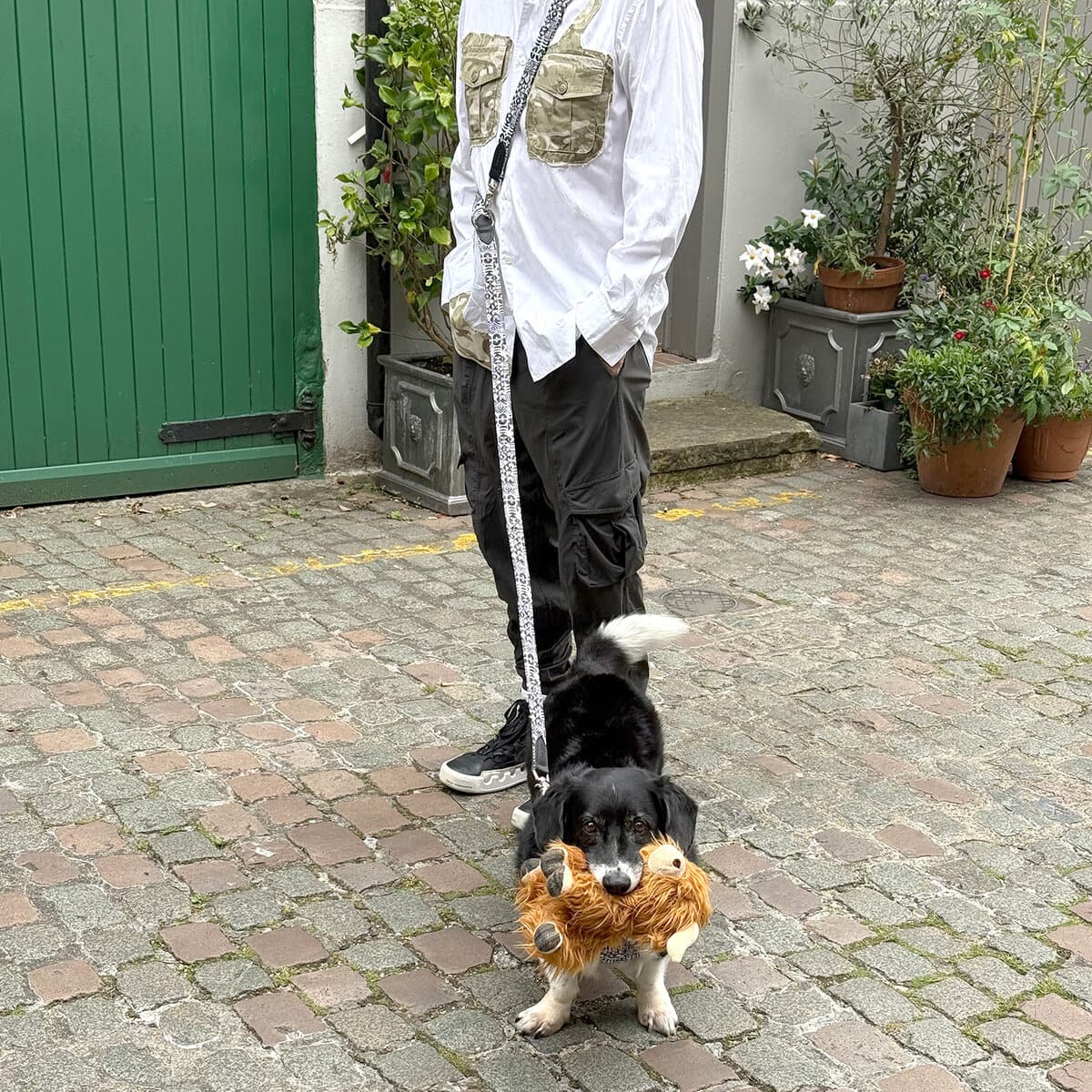 HW-DOG-0001_image01 copy Person wearing Hiro + Wolf Bow Wow Haus hands-free dog lead cross-body, holding the lead tail