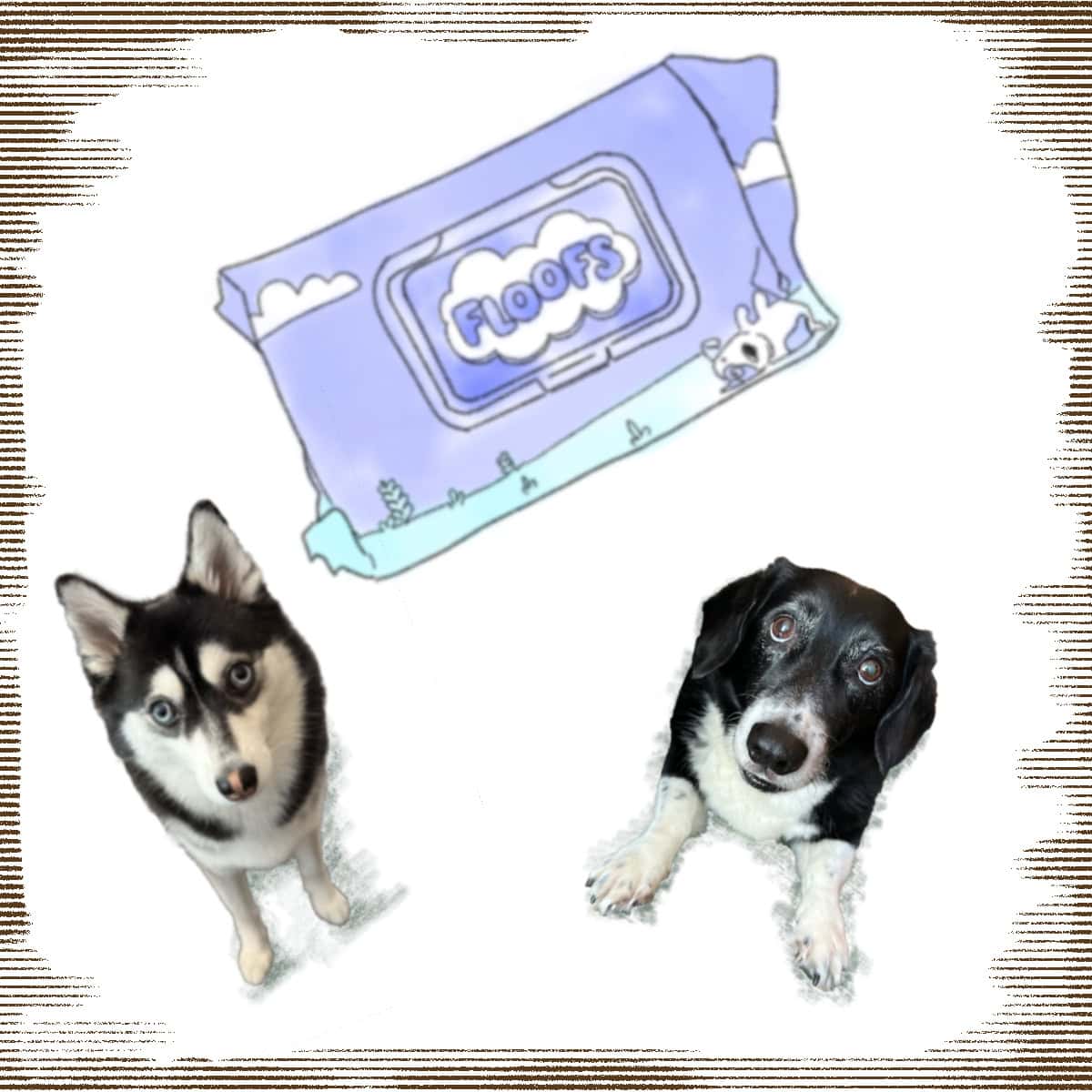 Harrue and Momo introducing their weekly pick: dog wet wipes. A banner featuring both dogs with the recommended product in the centre.