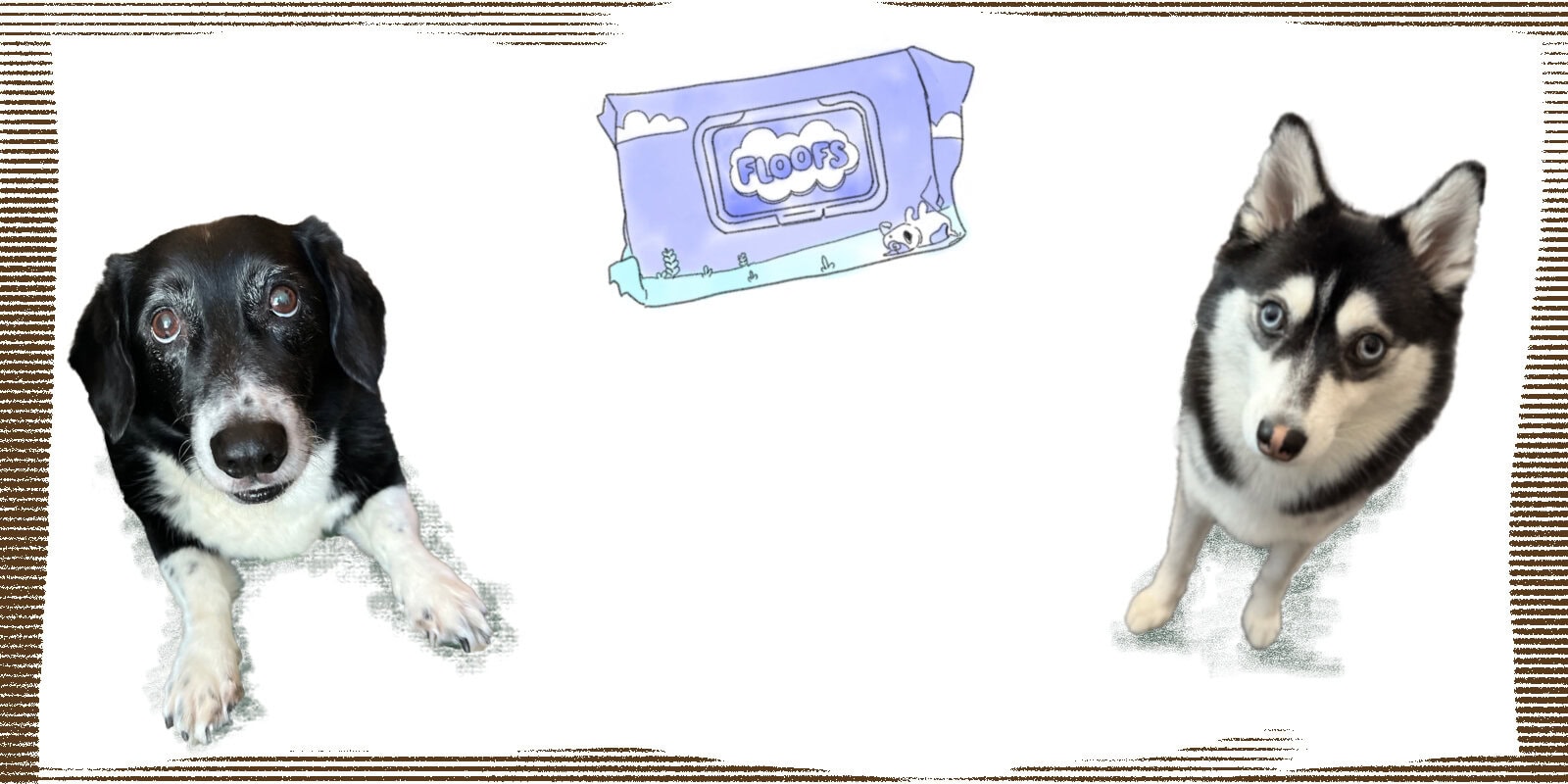 Harrue and Momo introducing their weekly pick: dog wet wipes. A banner featuring both dogs with the recommended product in the centre.