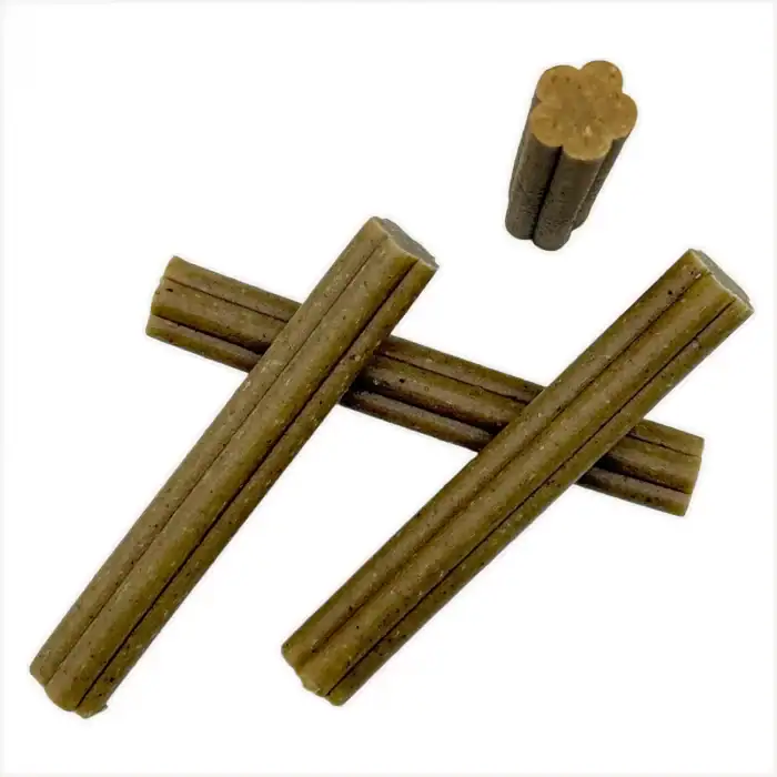 SOOPA Gingerbread Biscuit dental sticks – four sticks with cross-section view