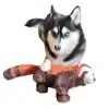 Husky dog playing with Rosa Red Panda recycled plush toy by Ancol