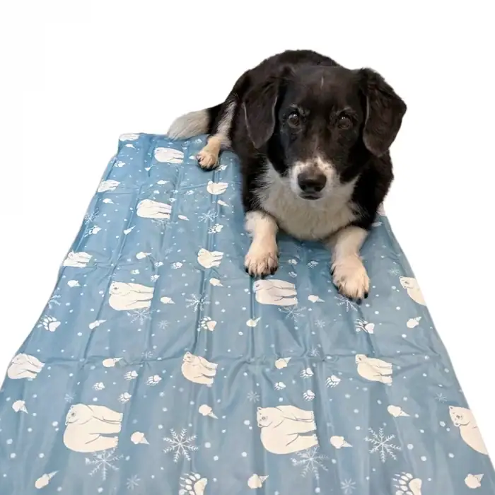 Corgi lying on the Ice Paws Cooling Mat for Dogs – Large