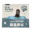 Ice Paws Cooling Mat for Dogs – Large – box packaging front view