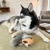 Momo the Pomsky resting beside the Ancol Scout Sloth Mini recycled plush dog toy at home